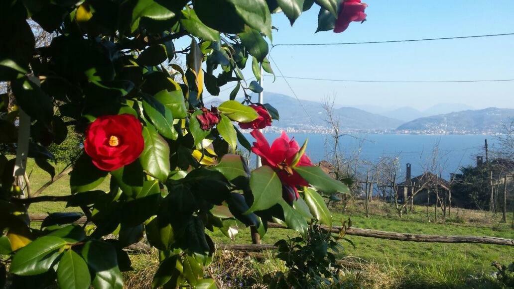 Casa Madama Daire Cannero Riviera Dış mekan fotoğraf